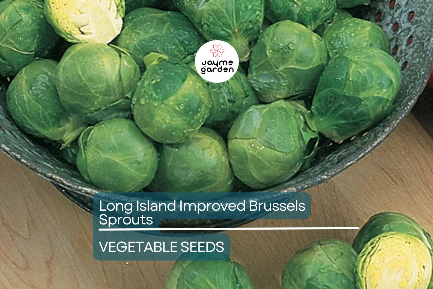 1000 Long Island Improved Brussels Sprouts Seeds – Heirloom, Non-GMO | USA Seller, Cool-Season Crop
