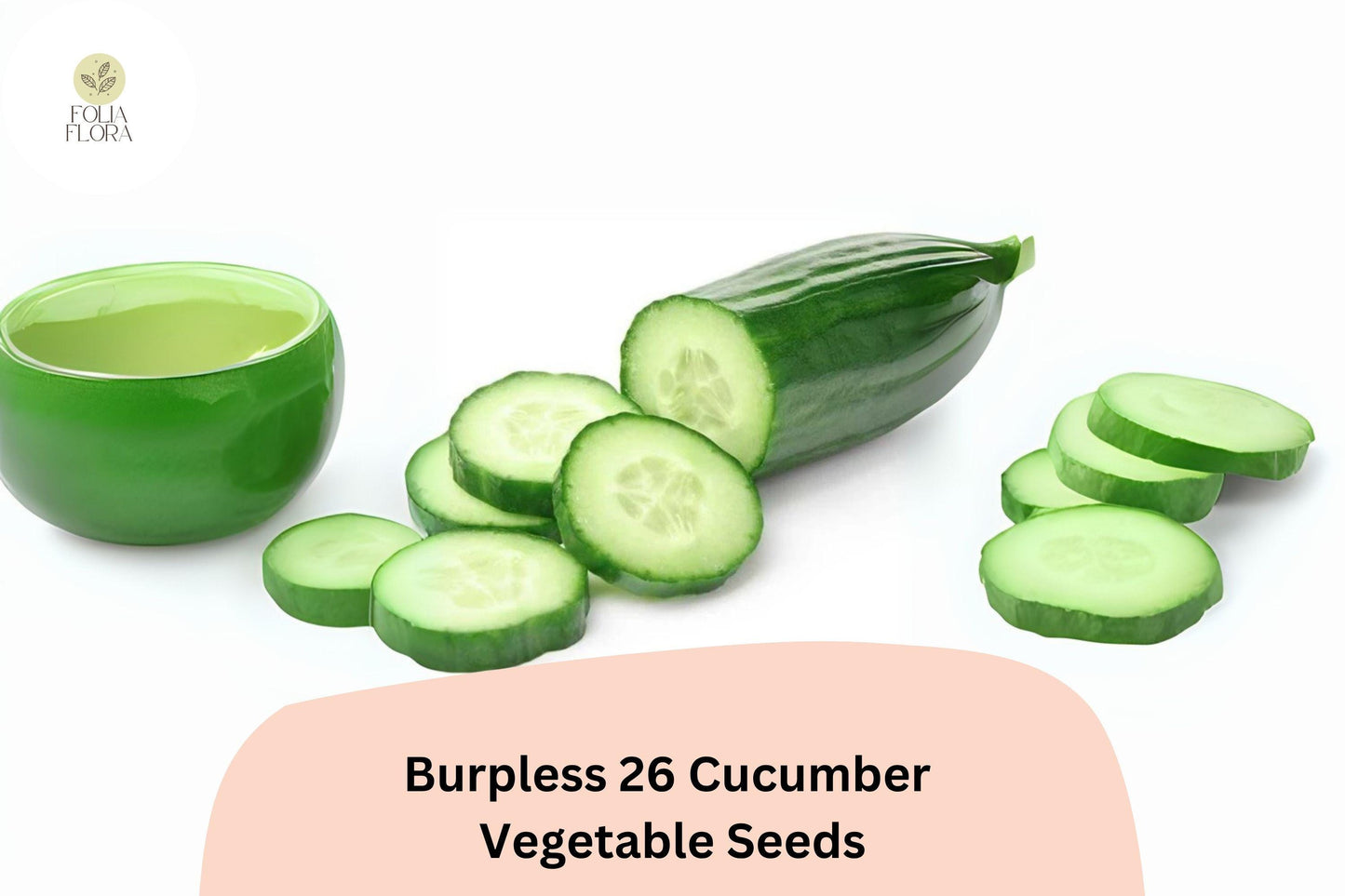 25+ Burpless 26 Cucumber Seeds | Tender Non-Bitter Slicer | Heirloom Non-GMO Easy Garden Planting