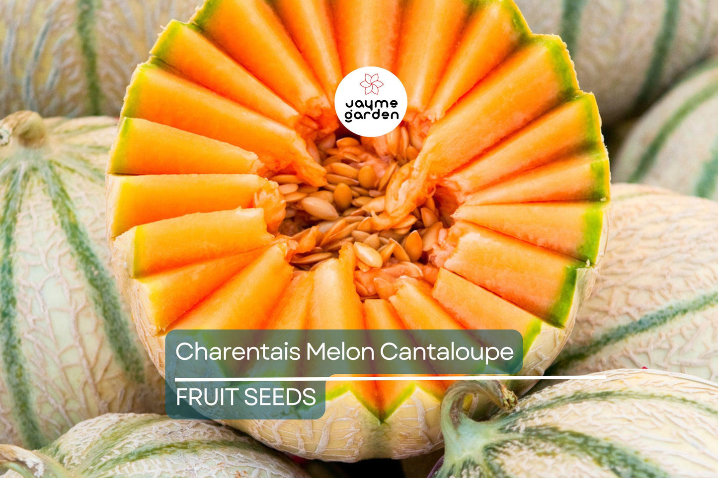 10 Charentais Melon Seeds - Heirloom French Cantaloupe - Organic - Non-GMO - Sweet & Fragrant - Rare Garden Fruit