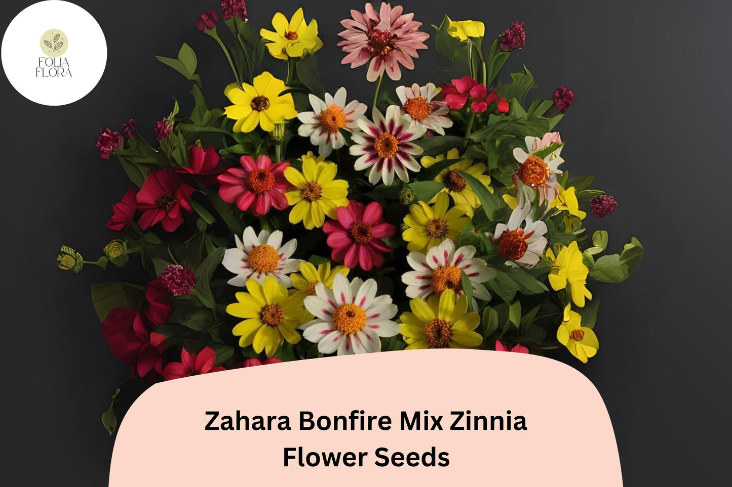 100+ Zahara Bonfire Mix Zinnia Seeds – Warm Red, Orange & Yellow Blooms for Garden Planting and Summer Beds