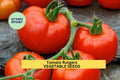 3pcs of 100mg Tomato Rutgers Seeds – Classic Heirloom Tomato Seeds for Planting – Juicy Red Tomatoes for Home Garden and Containers