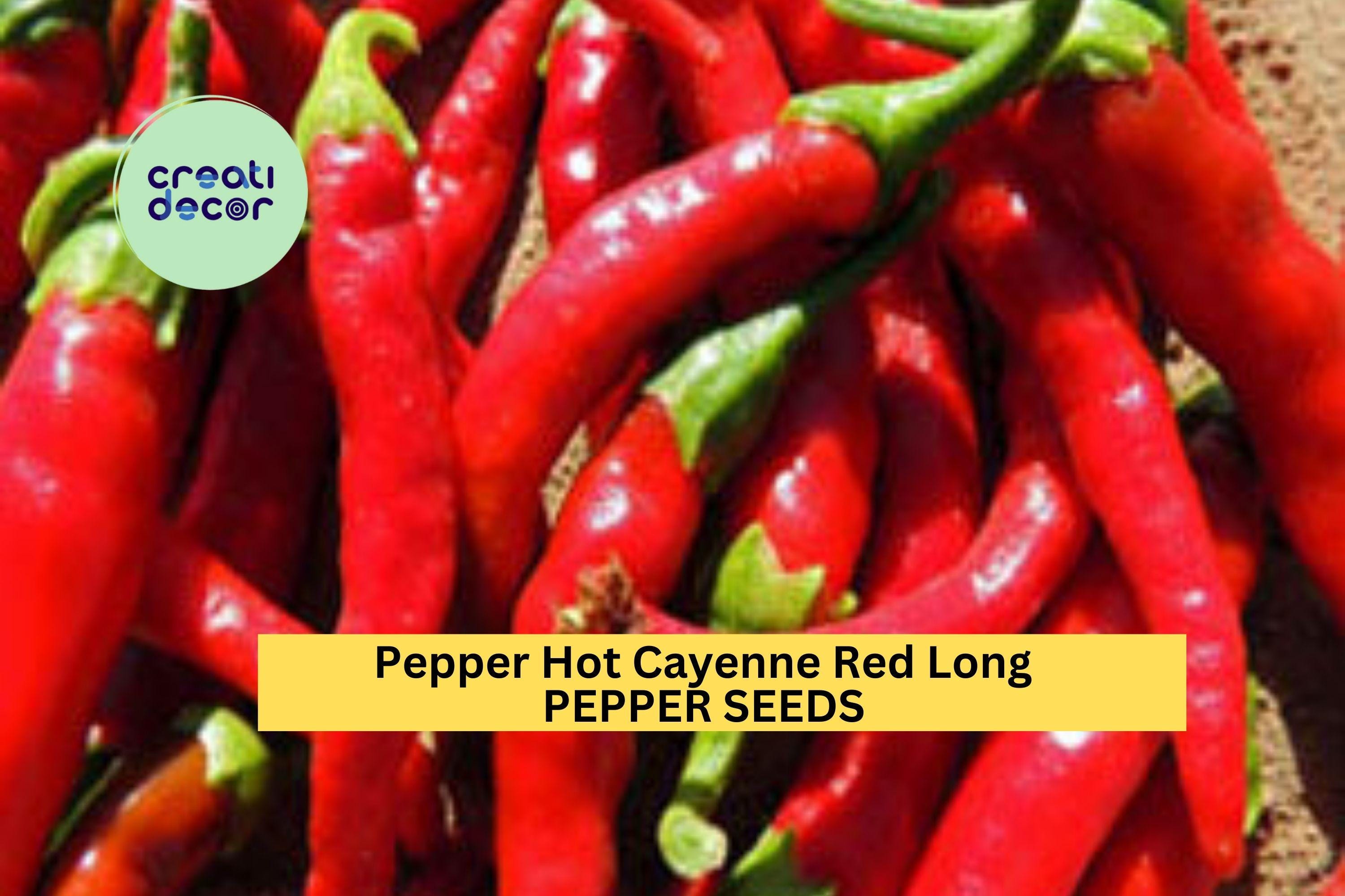 3pcs of 300mg Cayenne Red Long Hot Pepper Seeds – Spicy Heirloom Chili for Drying, Powder, and Garden Planting Seeds for Planting