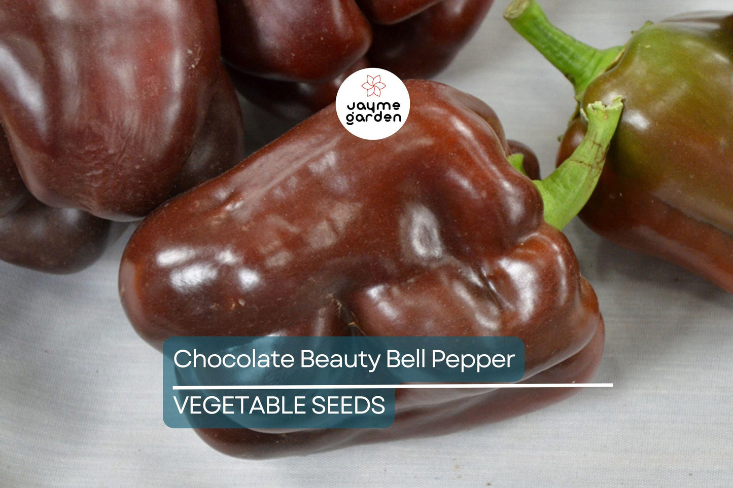 50 Chocolate Beauty Bell Pepper Seeds - Heirloom, NON-GMO, Sweet & Juicy, USA Seller