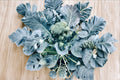 Broccoli – Green Sprouting Calabrese 300 Seeds | Italian Heirloom | Side-Shoot Broccoli | Continuous Harvest Variety