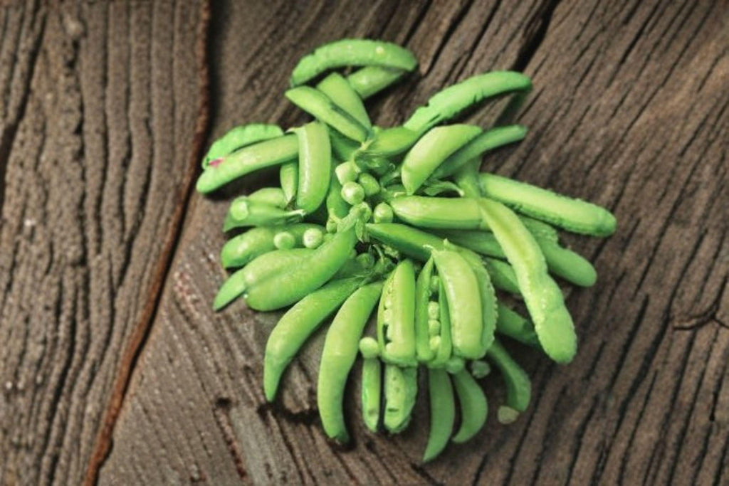Pea – Edible Pod Sugar Snap 30 Seeds | Classic Sugar Snap Pea | Sweet Crunchy Pods | Cool-Season Garden Favorite