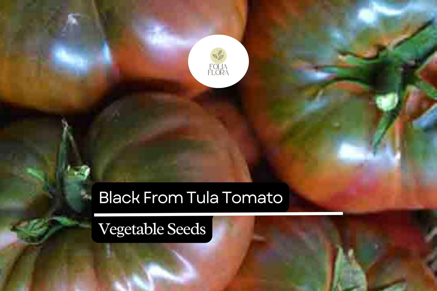 30 Black from Tula Tomato Seeds – Solanum lycopersicum – Heirloom Beefsteak, High-Yielding, Perfect for Slicing