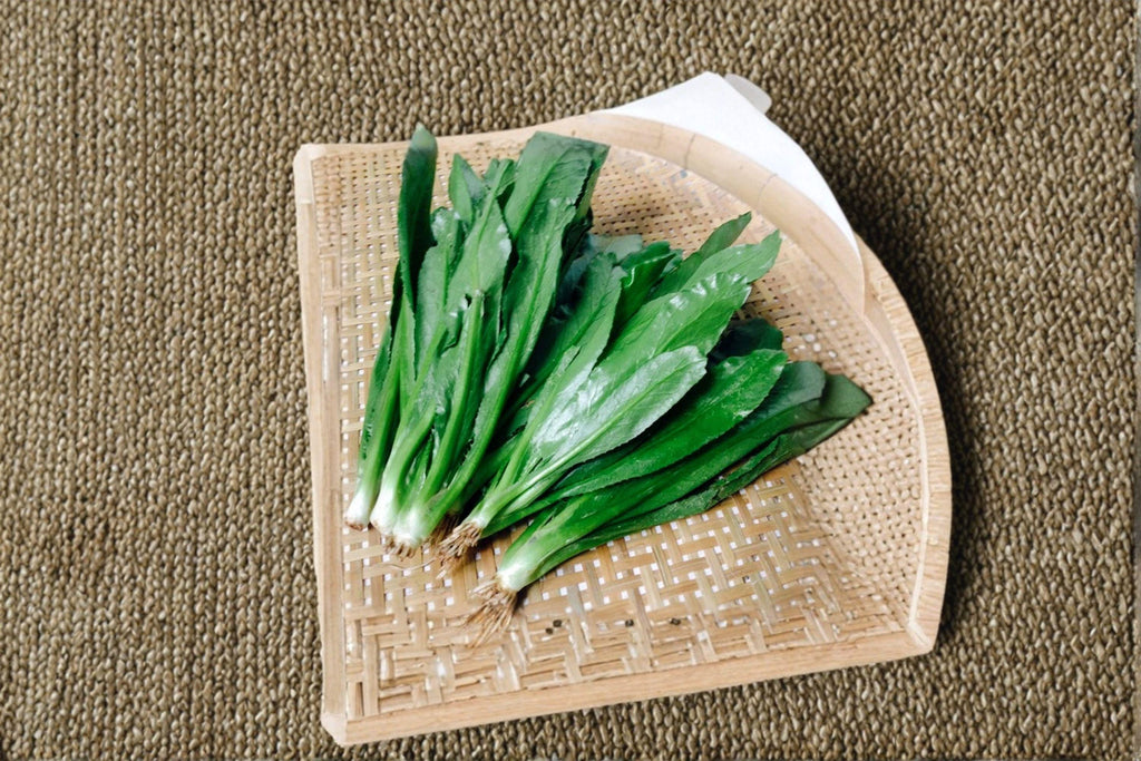 Culantro – Ngo Gai / Vietnamese Recao 100 Seeds | Tropical Culinary Herb | Strong Cilantro Flavor | Essential Asian & Latin Herb