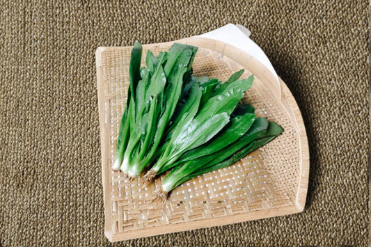Culantro – Ngo Gai / Vietnamese Recao 100 Seeds | Tropical Culinary Herb | Strong Cilantro Flavor | Essential Asian & Latin Herb
