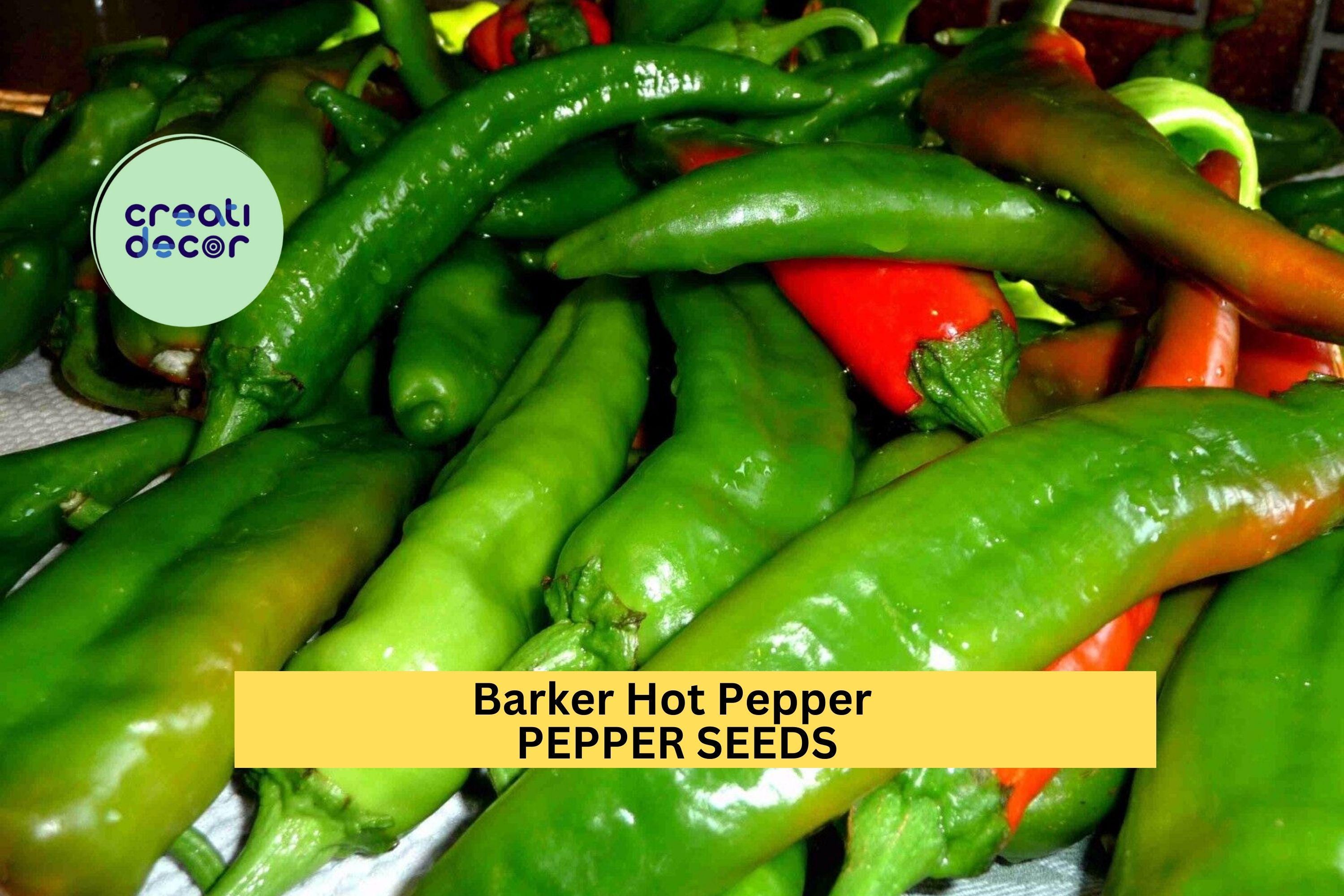 3pcs of 250mg Barker Hot Pepper Seeds – Fiery New Mexico Chile for Salsas, Drying, Roasting, and Spicy Garden Harvests Seeds for Planting