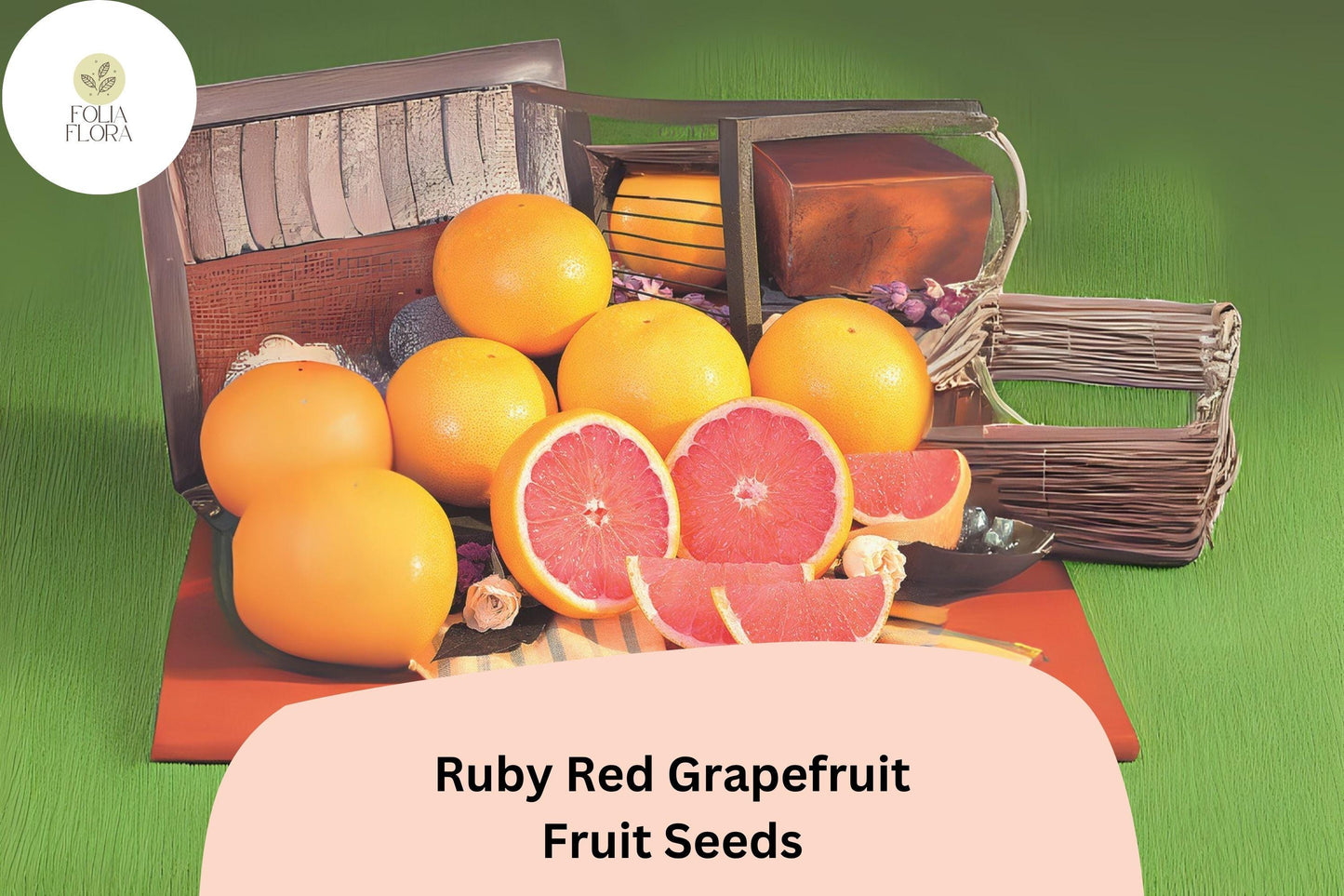 Ruby Red Grapefruit Seeds – 15 Citrus paradisi | Pink Grapefruit Tree Seeds