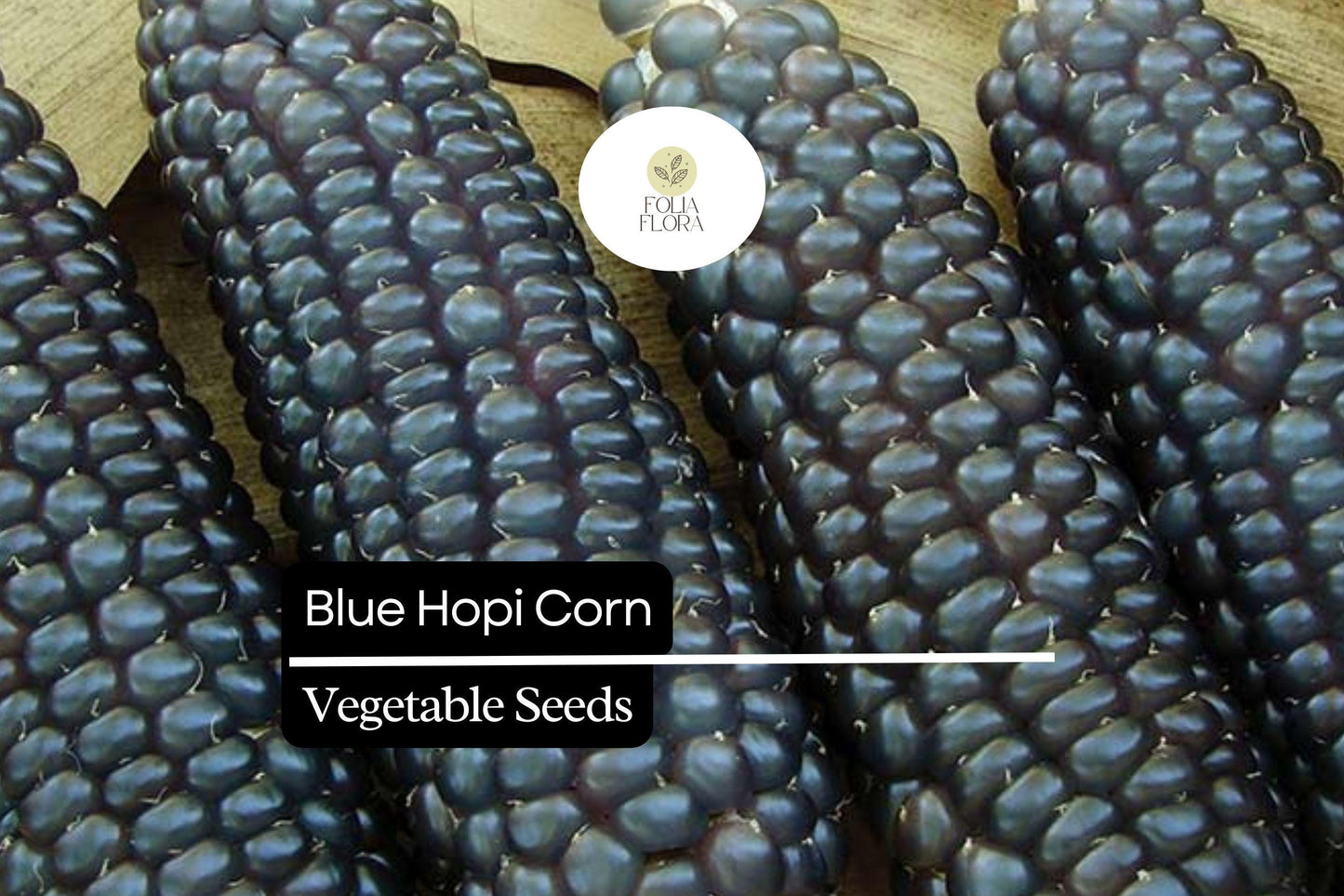 5 Blue Hopi Corn Seeds | Heirloom Blue Maize | Traditional Native Variety for Growing, Crafts & Home Gardens