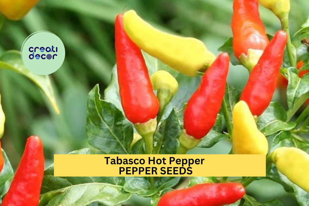 3pcs of 250mg Tabasco Hot Pepper Seeds – Classic Chili for Spicy Sauce, Pickling & Garden Growing – Heirloom Vegetable Seeds for Planting