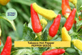 3pcs of 250mg Tabasco Hot Pepper Seeds – Classic Chili for Spicy Sauce, Pickling & Garden Growing – Heirloom Vegetable Seeds for Planting