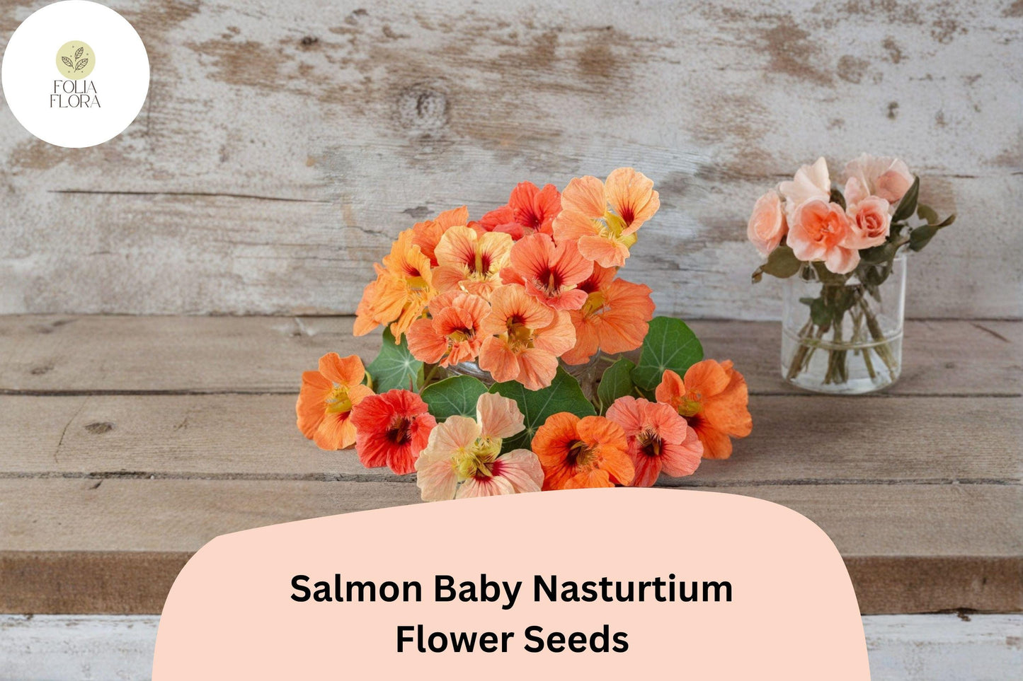 50+ Salmon Baby Nasturtium Seeds | Tropaeolum majus | Soft Salmon-Pink Blooms