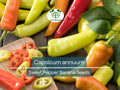 30 Seeds Sweet Pepper Banana (Capsicum annuum) – Mild, Fruity Banana Pepper for Planting, Ideal for Salads, Salsas & Pickling