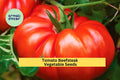 3pcs of 300mg Beefsteak Tomato Seeds – Juicy Giant Slicer Variety for Burgers, Sandwiches & Summer Vegetable Gardens Seeds for Planting