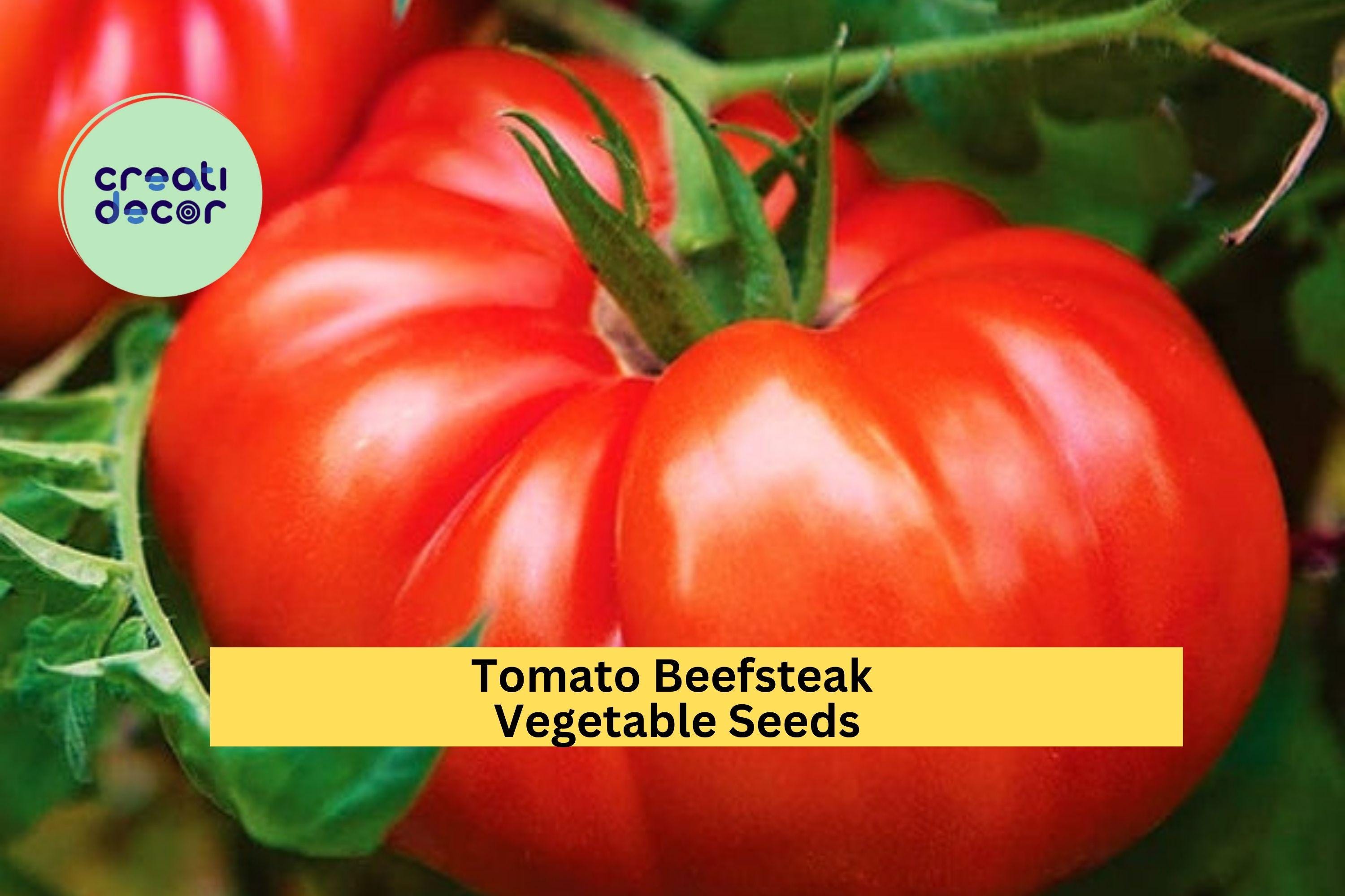 3pcs of 300mg Beefsteak Tomato Seeds – Juicy Giant Slicer Variety for Burgers, Sandwiches & Summer Vegetable Gardens Seeds for Planting