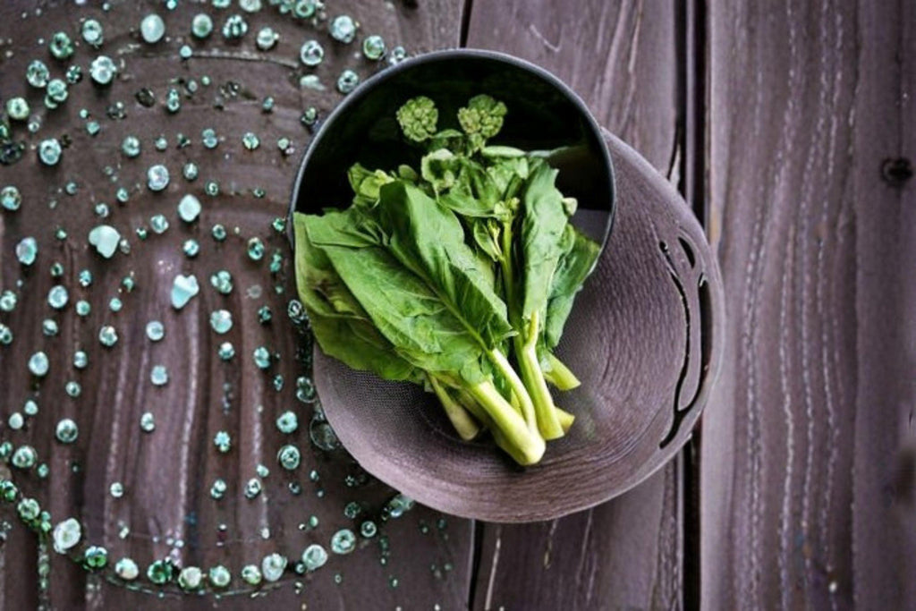 Wan Shen Kailan/Chinese Broccoli – 150 Seeds | Asian Greens | Tender Stems | Open-Pollinated Variety