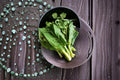 Wan Shen Kailan/Chinese Broccoli – 150 Seeds | Asian Greens | Tender Stems | Open-Pollinated Variety