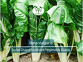 1 Gram Seeds Swiss Chard Fordhook – Beta vulgaris | Heirloom Vegetable for Planting, Nutritious Greens for Gardening