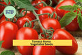 3pcs of 100mg Roma Tomato Seeds – Firm, Meaty Paste Tomatoes for Sauces, Canning, and Home Vegetable Gardening Seeds for Planting