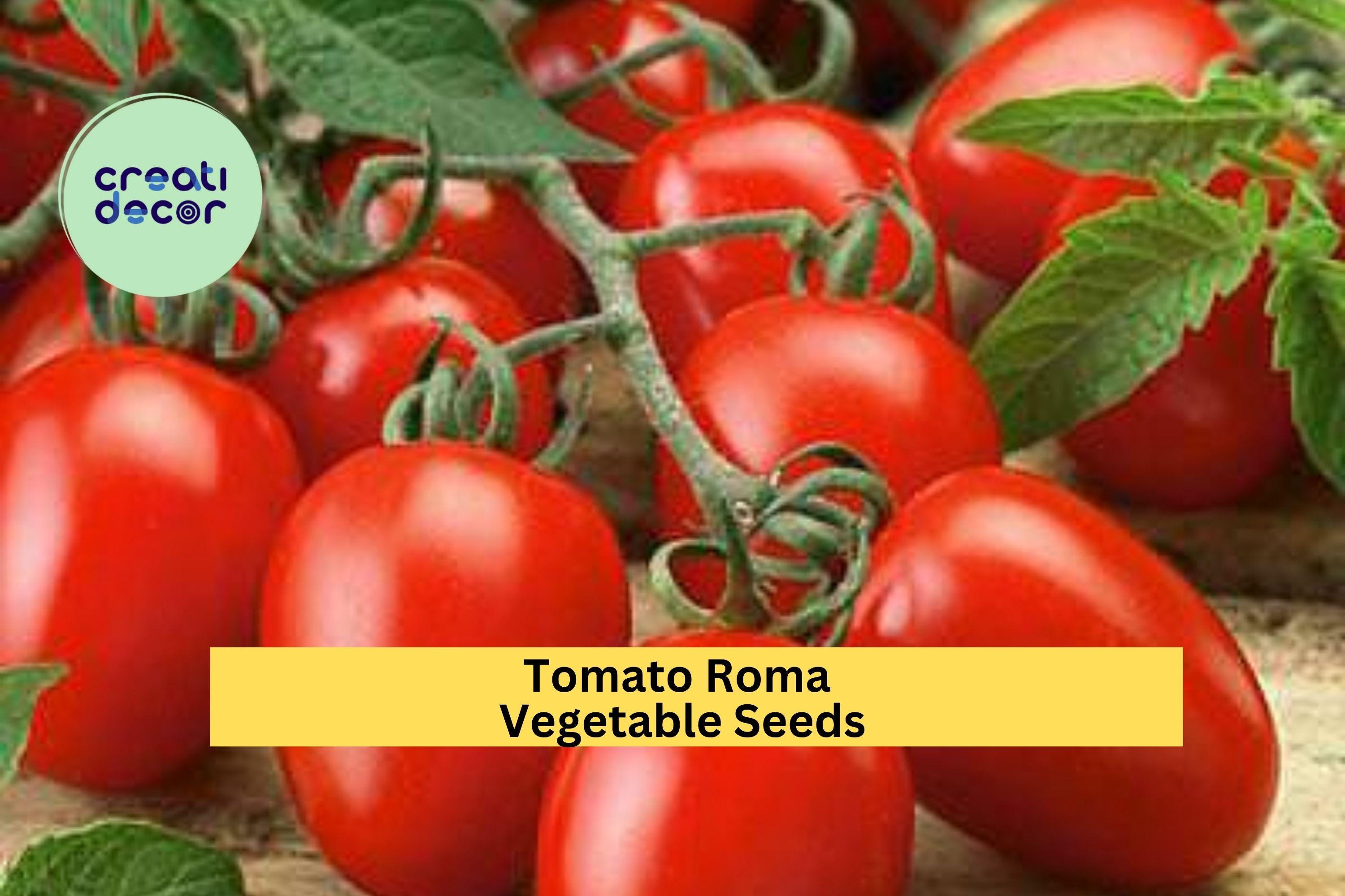3pcs of 100mg Roma Tomato Seeds – Firm, Meaty Paste Tomatoes for Sauces, Canning, and Home Vegetable Gardening Seeds for Planting