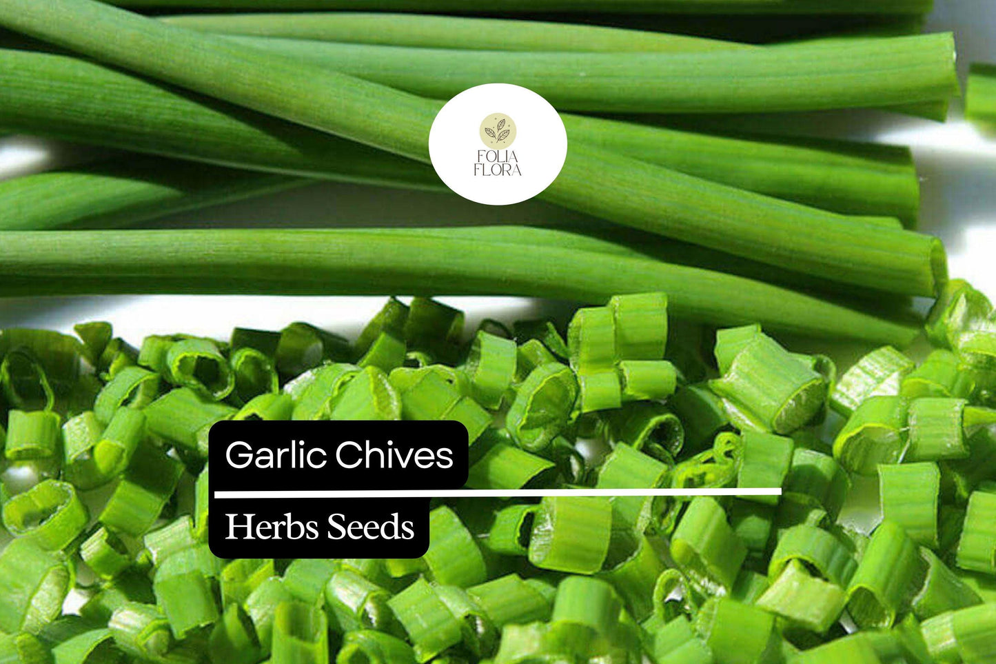 500 Garlic Chive Seeds – Heirloom Herb, Perennial, Edible Leaves & Flowers, Easy to Grow