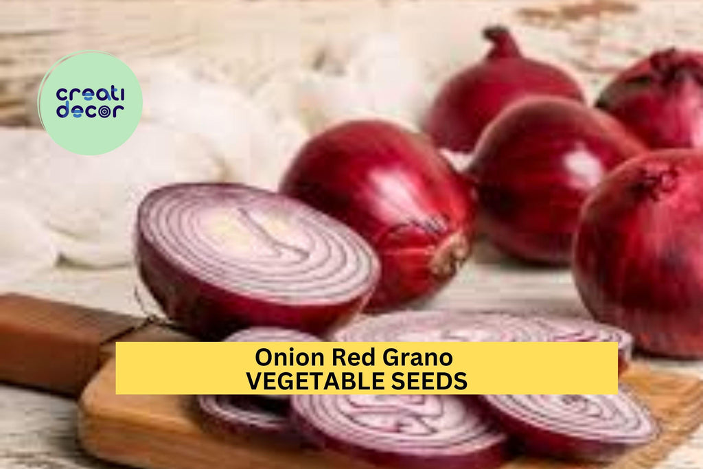 3pcs of 250mg Red Grano Onion Seeds – Mild, Sweet Red Onion for Planting–Perfect for Salads, Cooking, and Home Vegetable Seeds for Planting