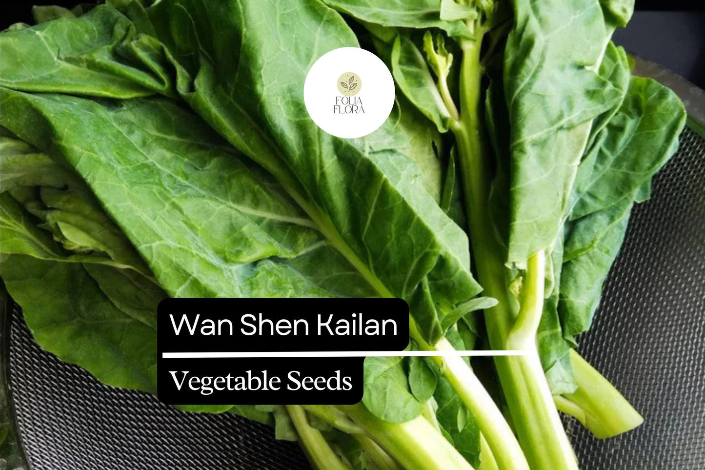 500mg Wan Shen Kailan Seeds Brassica oleracea | Chinese Broccoli Variety | Tender Stalks, Sweet Leaves & Edible Flower Buds