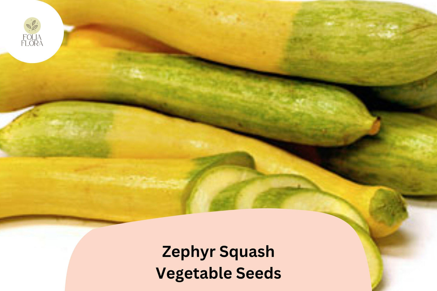 25+ Zephyr Squash Seeds for Planting | Unique Yellow Green Summer Squash | Heirloom Vegetable Garden Seeds