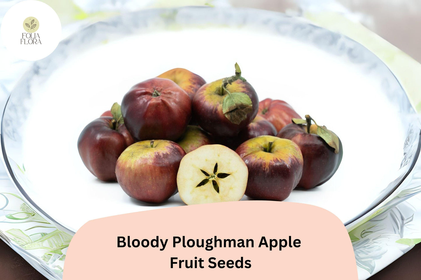 25+ Bloody Ploughman Apple Seeds for Planting | Scottish Heirloom Apple Tree | Red Flesh Sweet Fruit | Garden Orchard Seeds