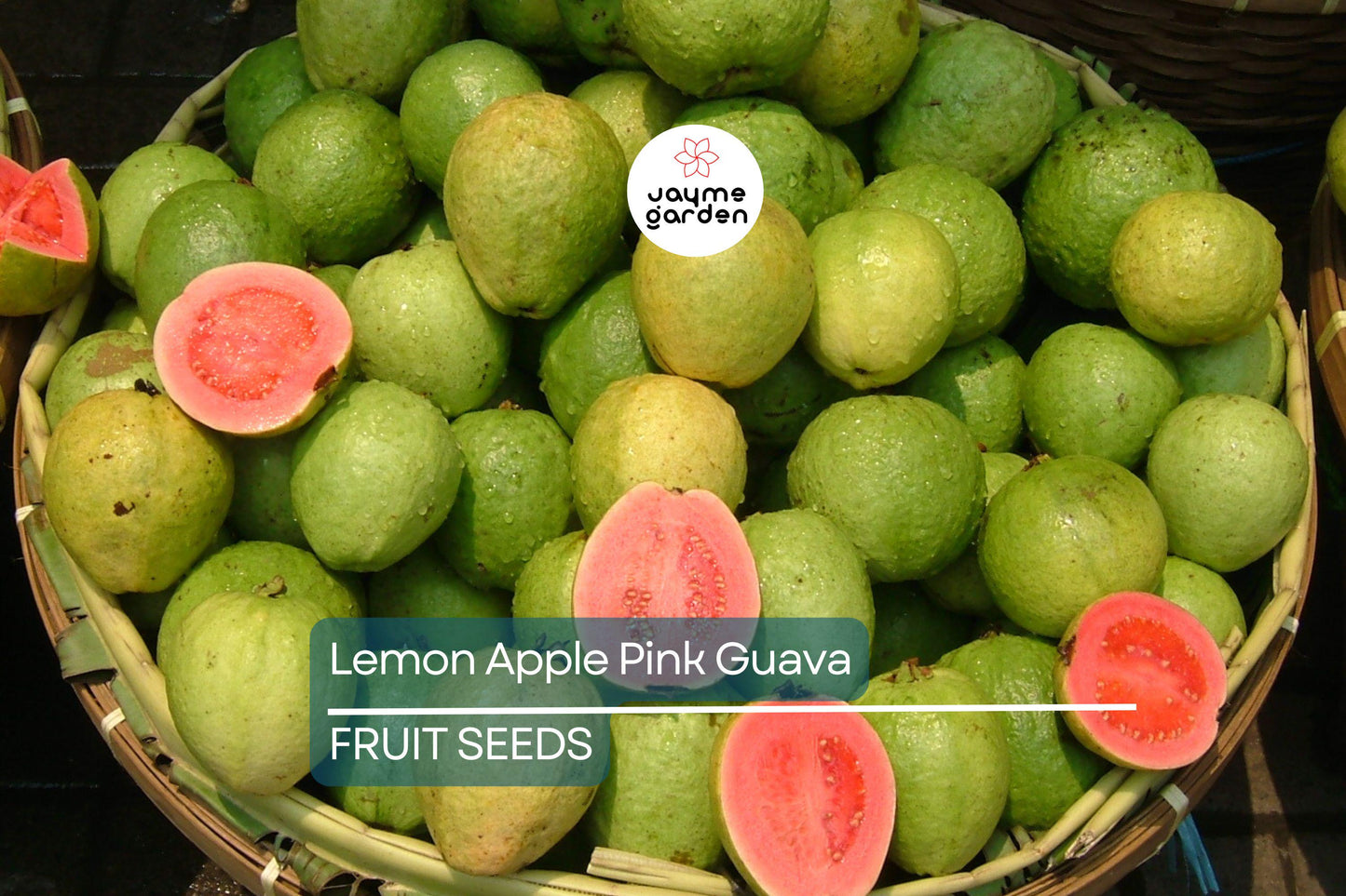 20 Ruby Supreme Guava Tree Seeds - Psidium guajava - Grow Exotic Pink Fruit