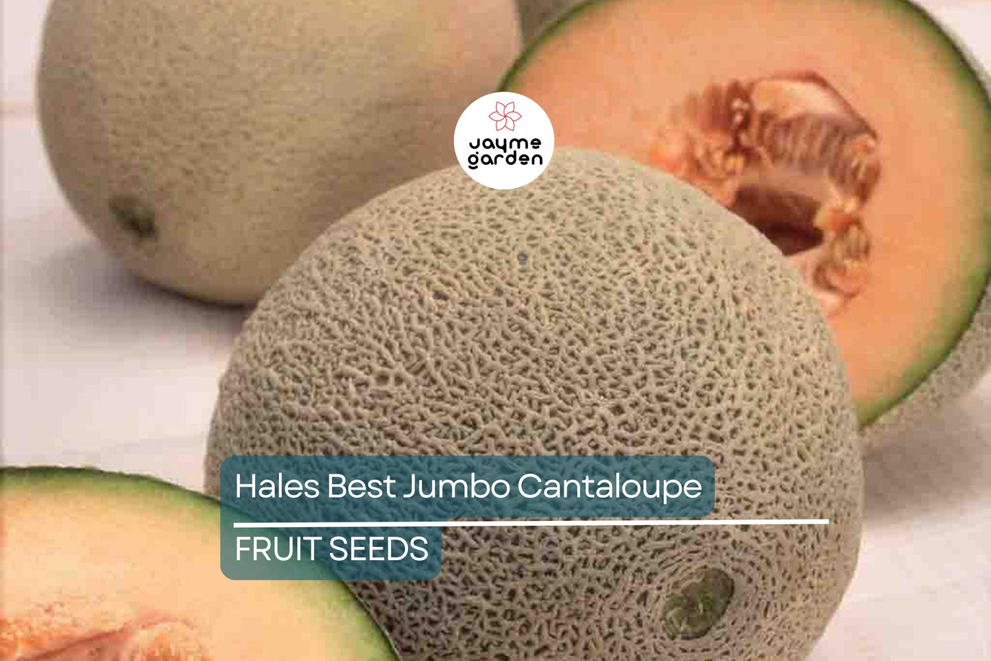 100 Hales Best Jumbo Cantaloupe Seeds - Heirloom, Non-GMO, Sweet & Juicy Melons