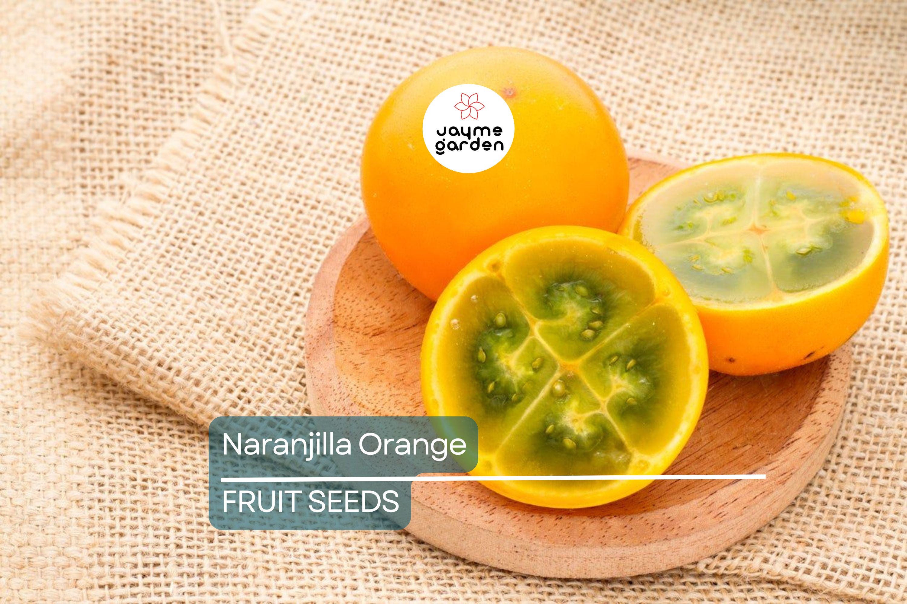 20 Naranjilla (Solanum quitoense) Seeds – Lulo Quito Orange Fruit Tree