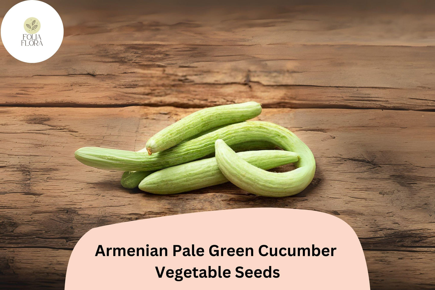 25+ Armenian Pale Green Cucumber Seeds | Snake Melon | Sweet Crisp Long Cucumbers | Garden Heirloom Vegetable Seeds