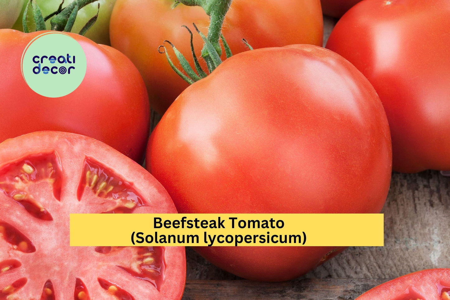 Beefsteak Tomato Live Plants – 4 Healthy 6–10” Starters – Solanum lycopersicum Heirloom Variety for Vegetable Gardens