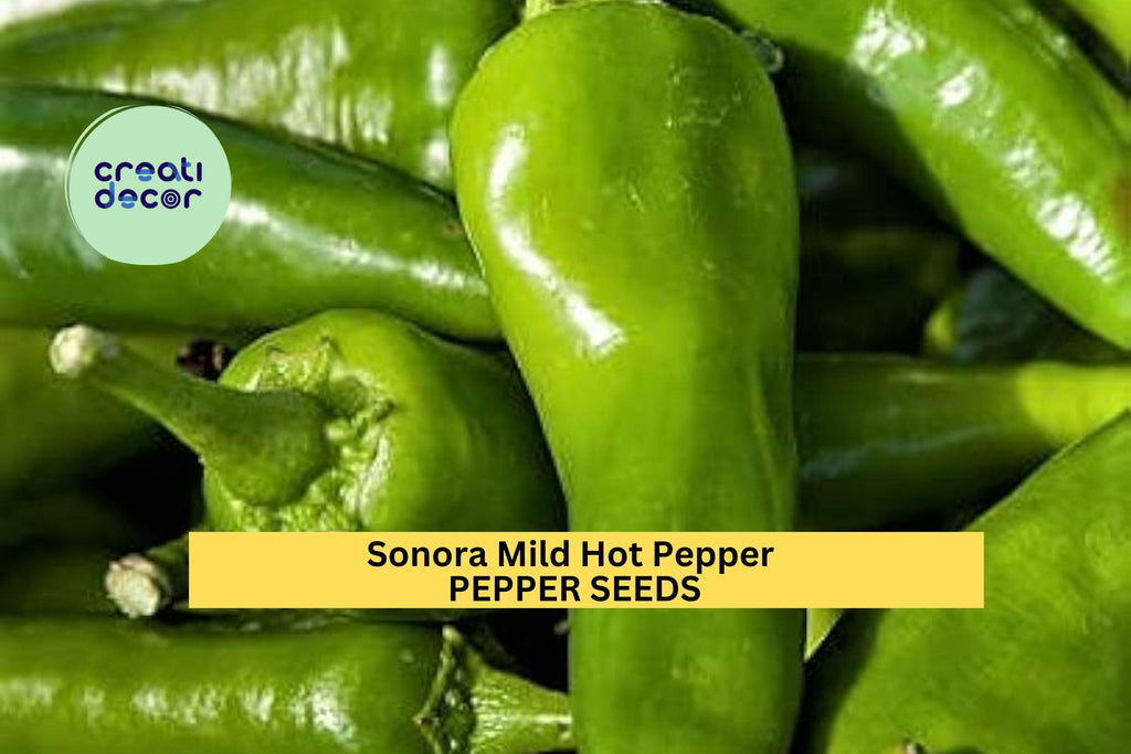 3pcs of 250mg Sonora Mild Hot Pepper Seeds – Mild Chili for Roasting, Salsa & Garden Growing, Productive Early Harvest Seeds for Planting