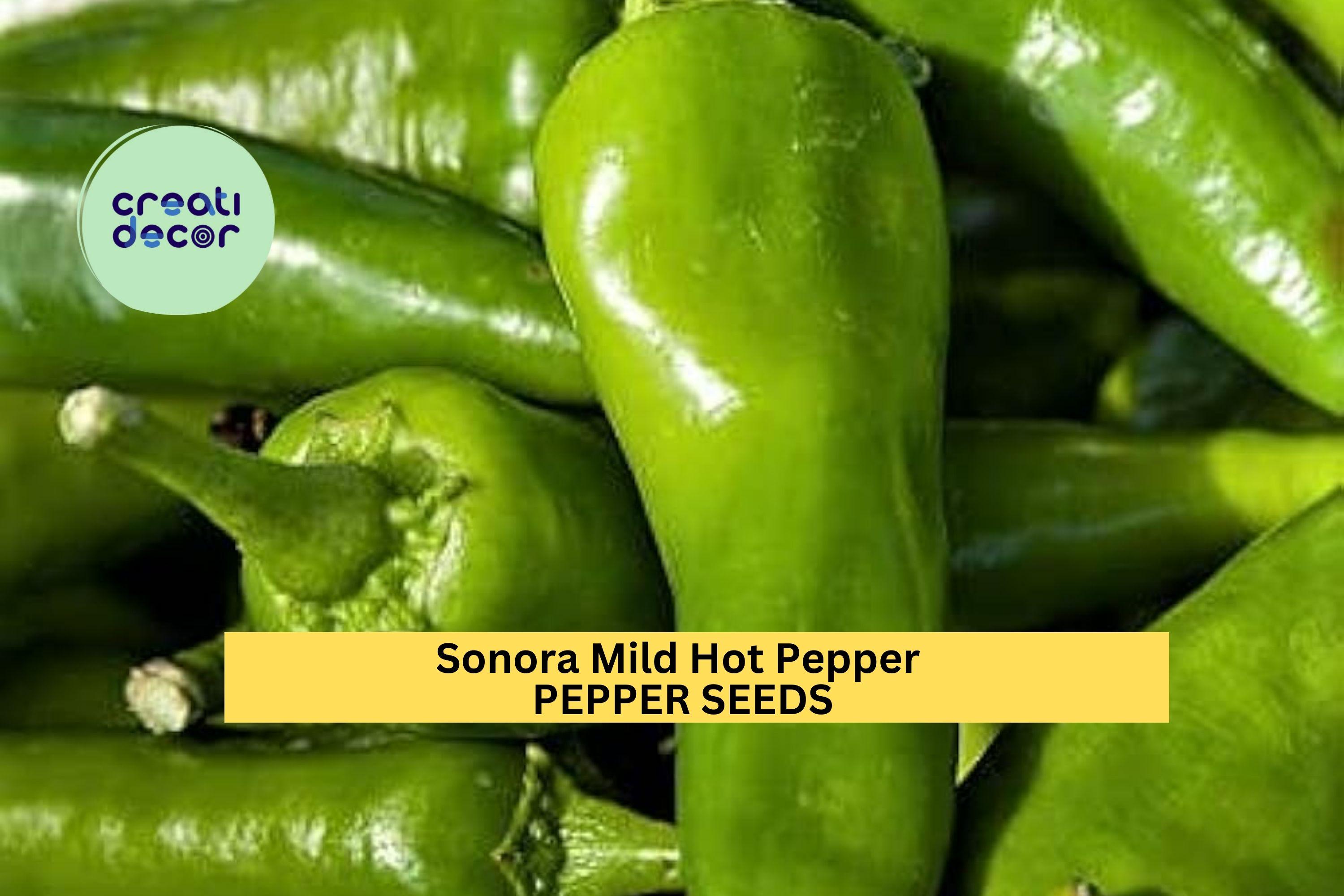 3pcs of 250mg Sonora Mild Hot Pepper Seeds – Mild Chili for Roasting, Salsa & Garden Growing, Productive Early Harvest Seeds for Planting