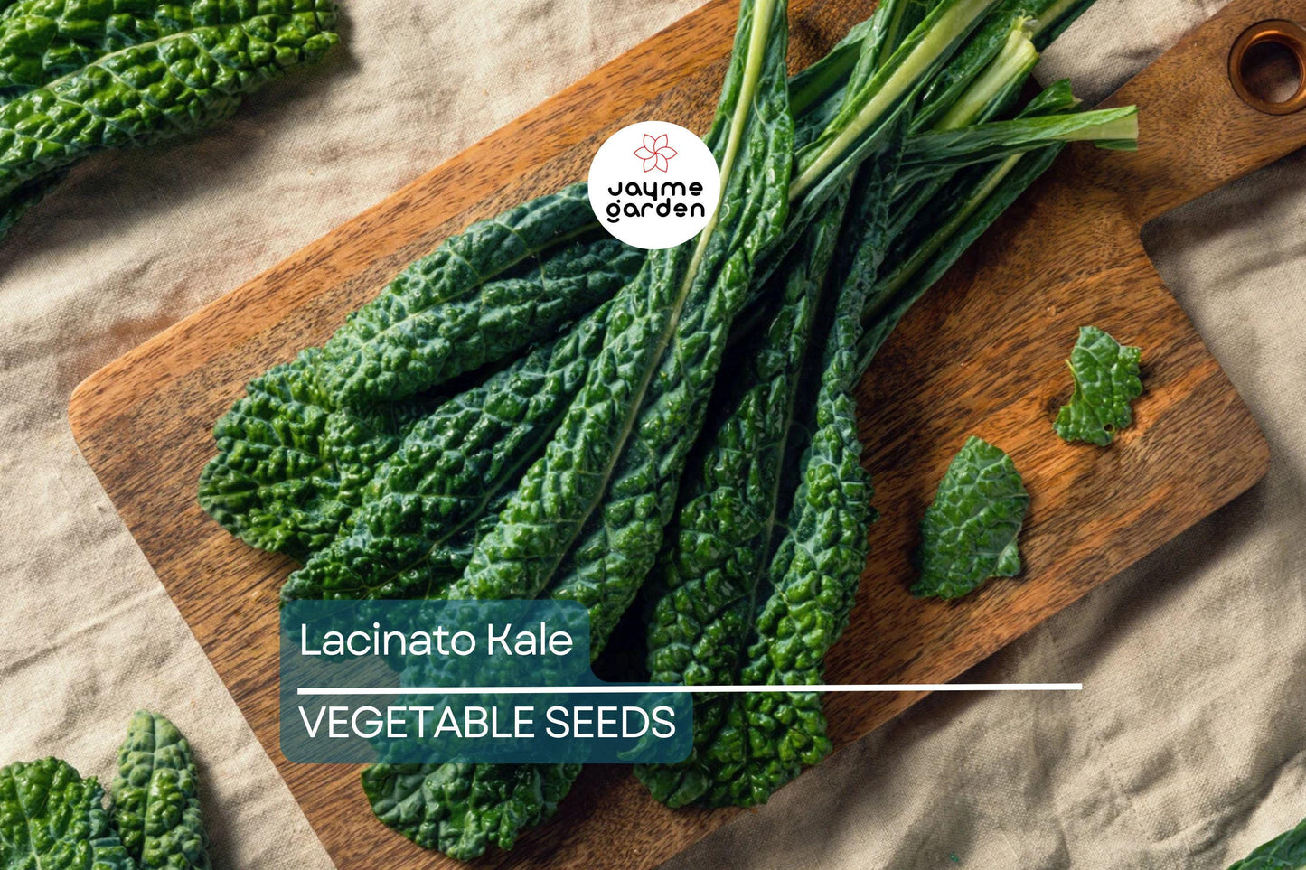 1,000 Lacinato Kale Seeds – Non-GMO Heirloom, Dinosaur Kale, Cold Hardy, Free Shipping