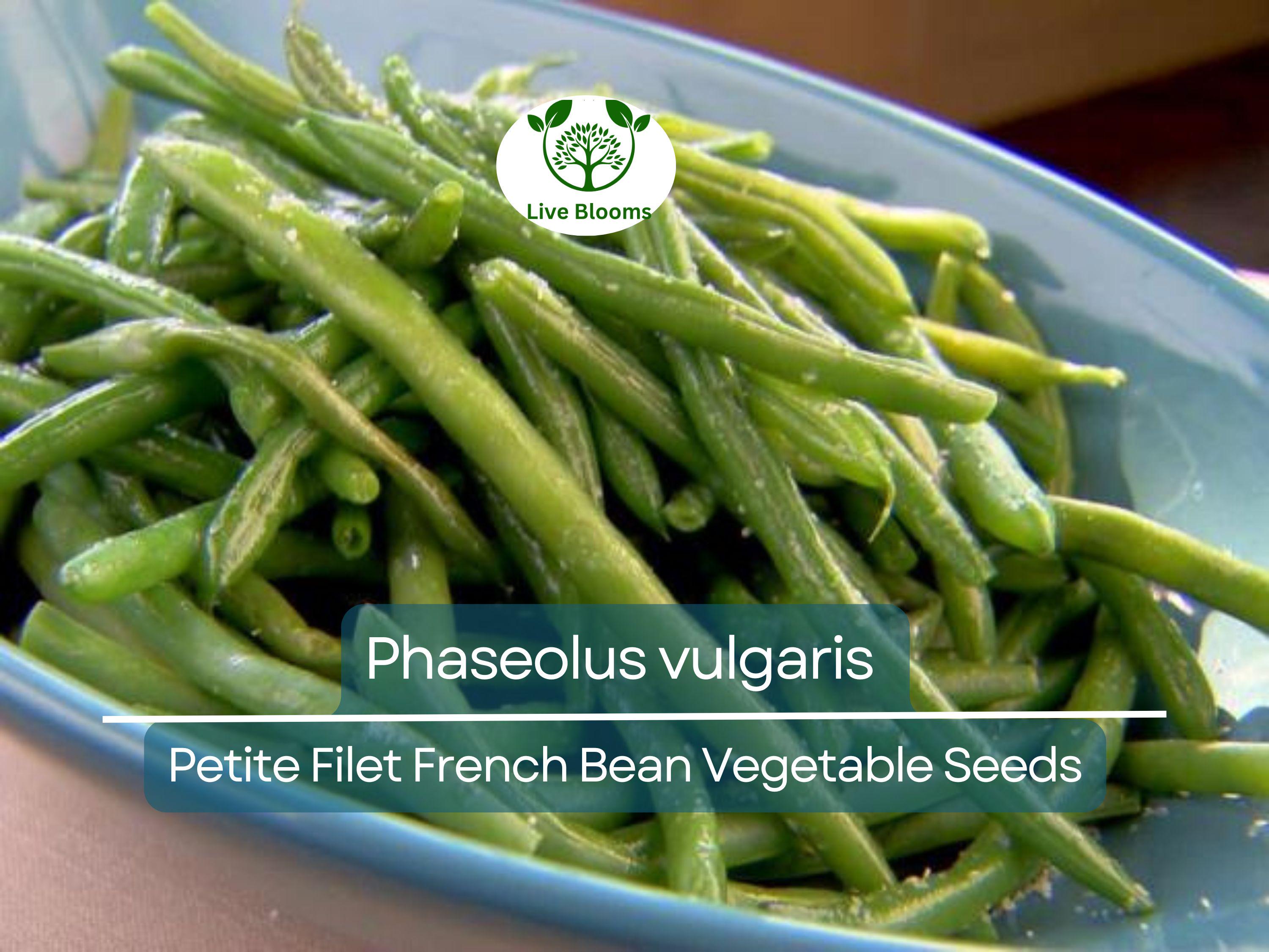 10 Seeds Petite Filet French Bean - Phaseolus vulgaris | Tender, Crisp Beans for Planting, Gardening & Culinary Delights