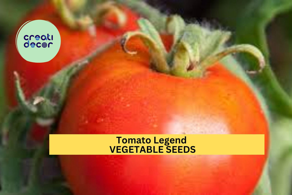 3pcs of 100g Tomato Legend Seeds – Disease Resistant, Early Yield – Juicy Determinate Tomatoes for Home Vegetable Gardens