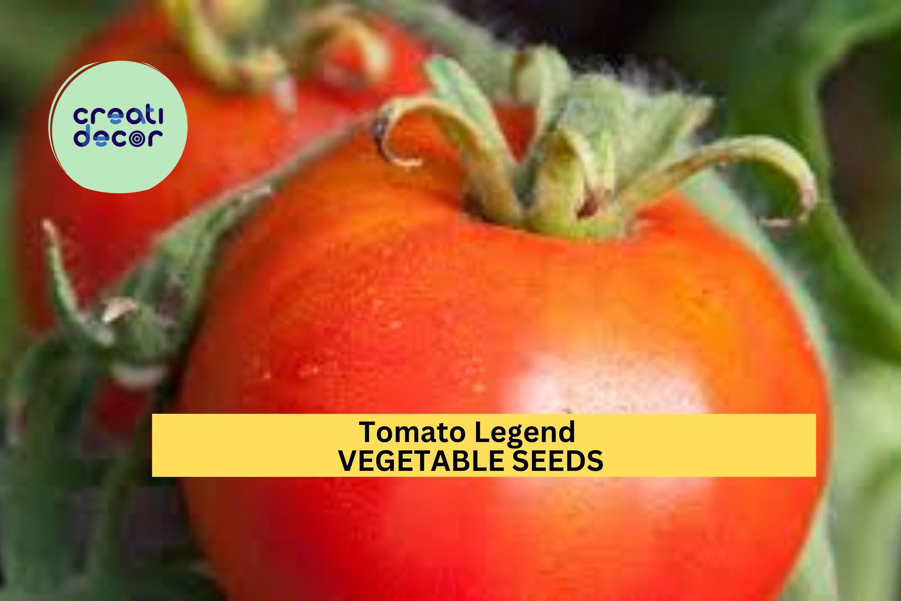 3pcs of 100g Tomato Legend Seeds – Disease Resistant, Early Yield – Juicy Determinate Tomatoes for Home Vegetable Gardens