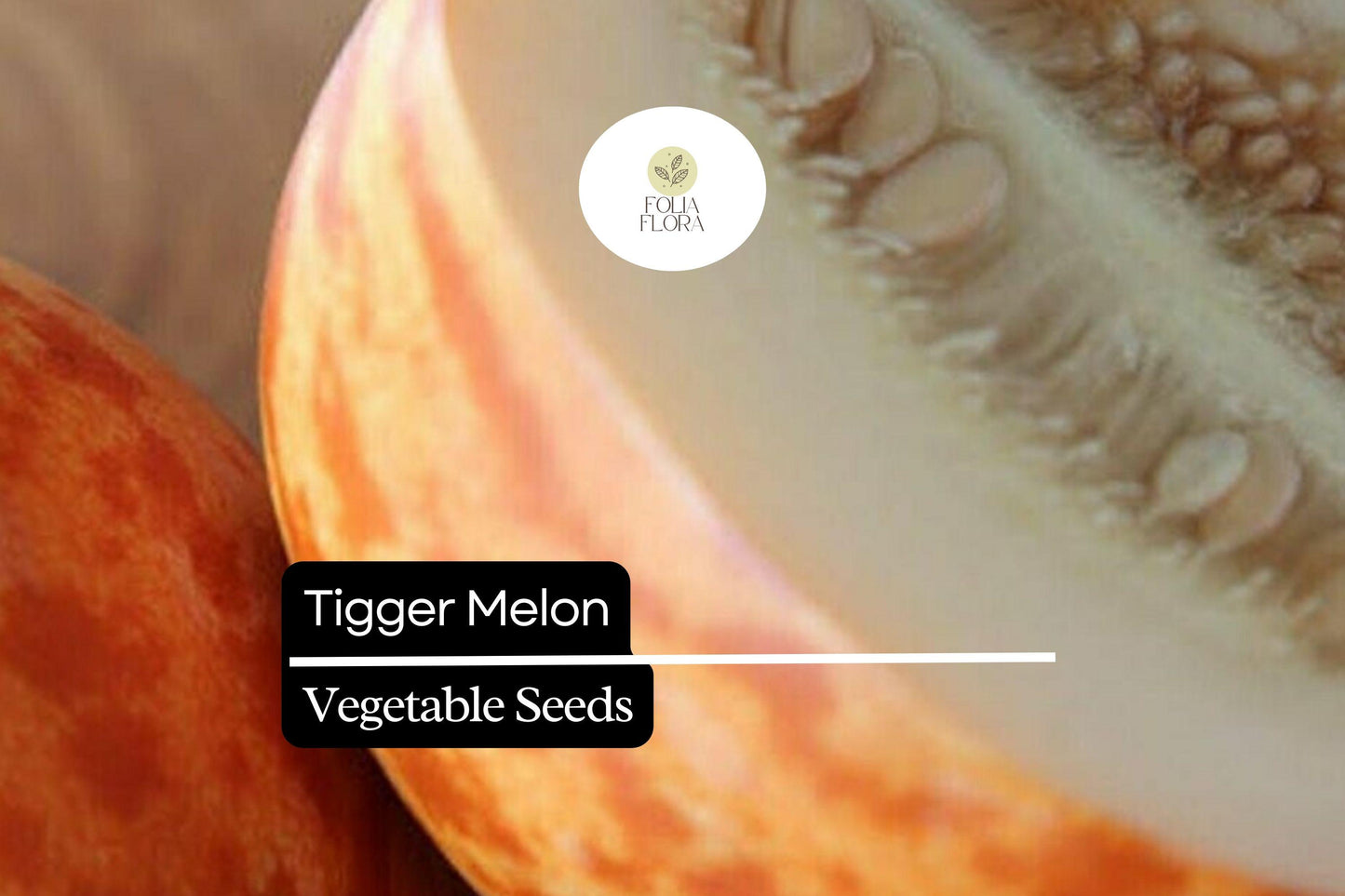 10 Seeds Tigger Melon (Cucumis melo) – Unique Heirloom Melon with Striking Stripes and Sweet Fragrant Flesh