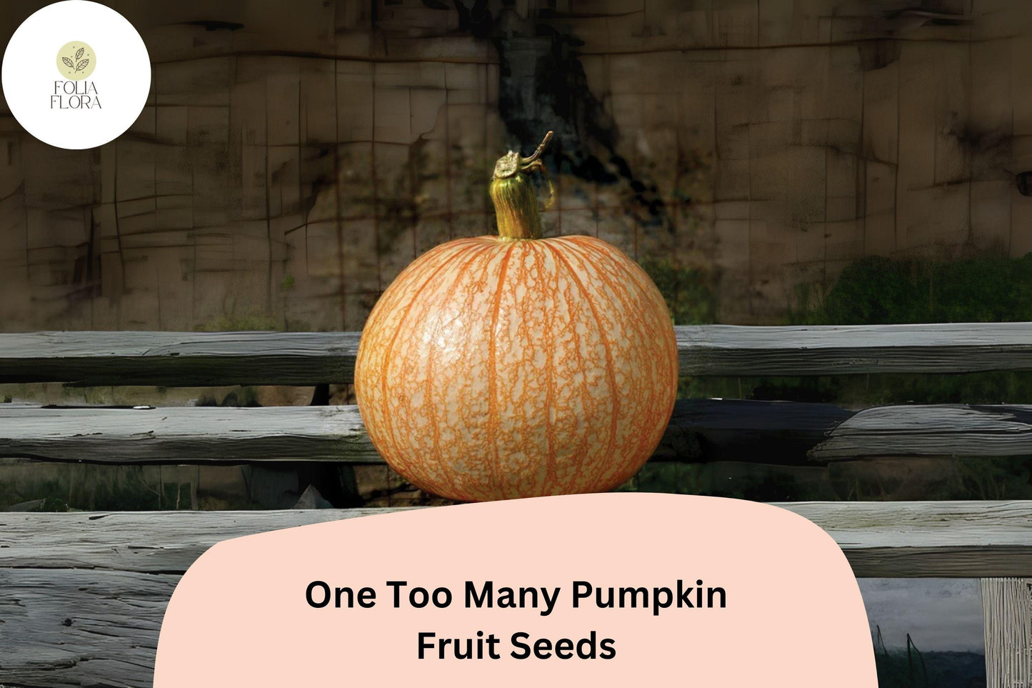 25+ One Too Many Pumpkin Seeds | Unique Red-Striped White Heirloom | Decorative & Edible Pumpkins for Fall Harvest
