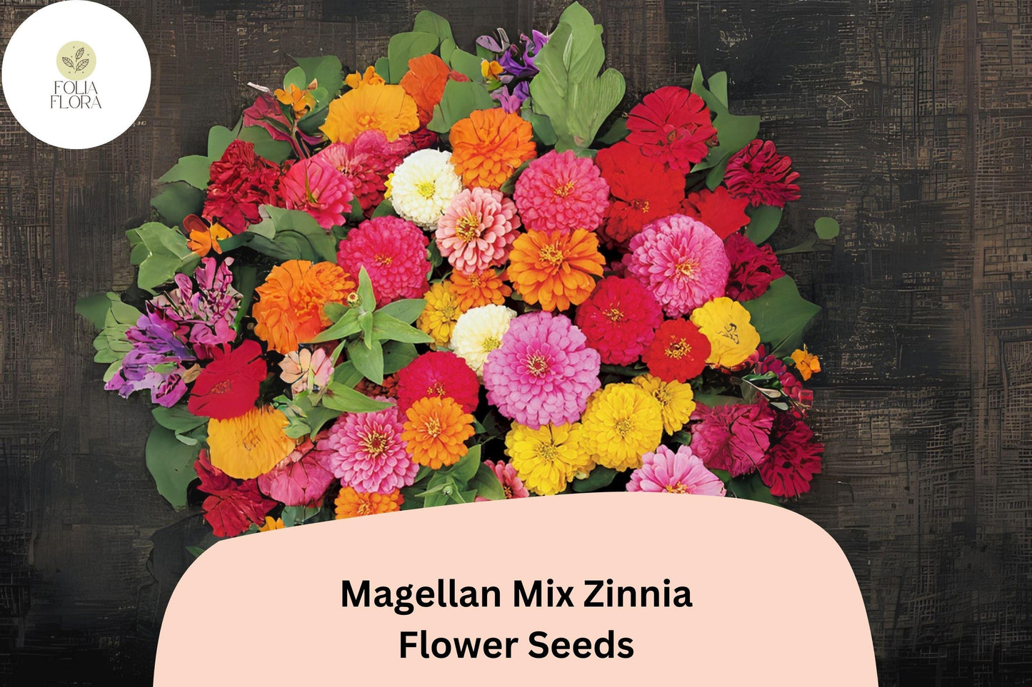 100+ Magellan Mix Zinnia Seeds | Vibrant Mixed Blooms | Compact Garden Annual Flowers, Easy Grow, Cut Flower Variety