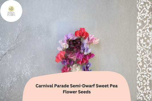 50+ Carnival Parade Semi-Dwarf Sweet Pea Seeds | Multi-Color Compact Flowers for Garden & Trellis