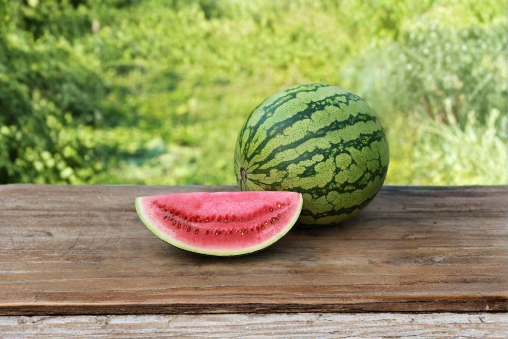 Watermelon – Crimson Sweet 10 Seeds | Classic Heirloom Watermelon | Sweet Red Flesh | Crisp & Juicy