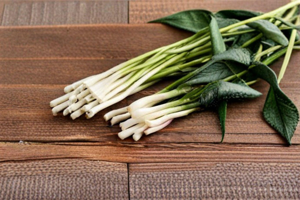 Onion – Tokyo Long (Bunching) 250 Seeds | Japanese Green Onion | Non-Bulbing | Mild & Fast Growing