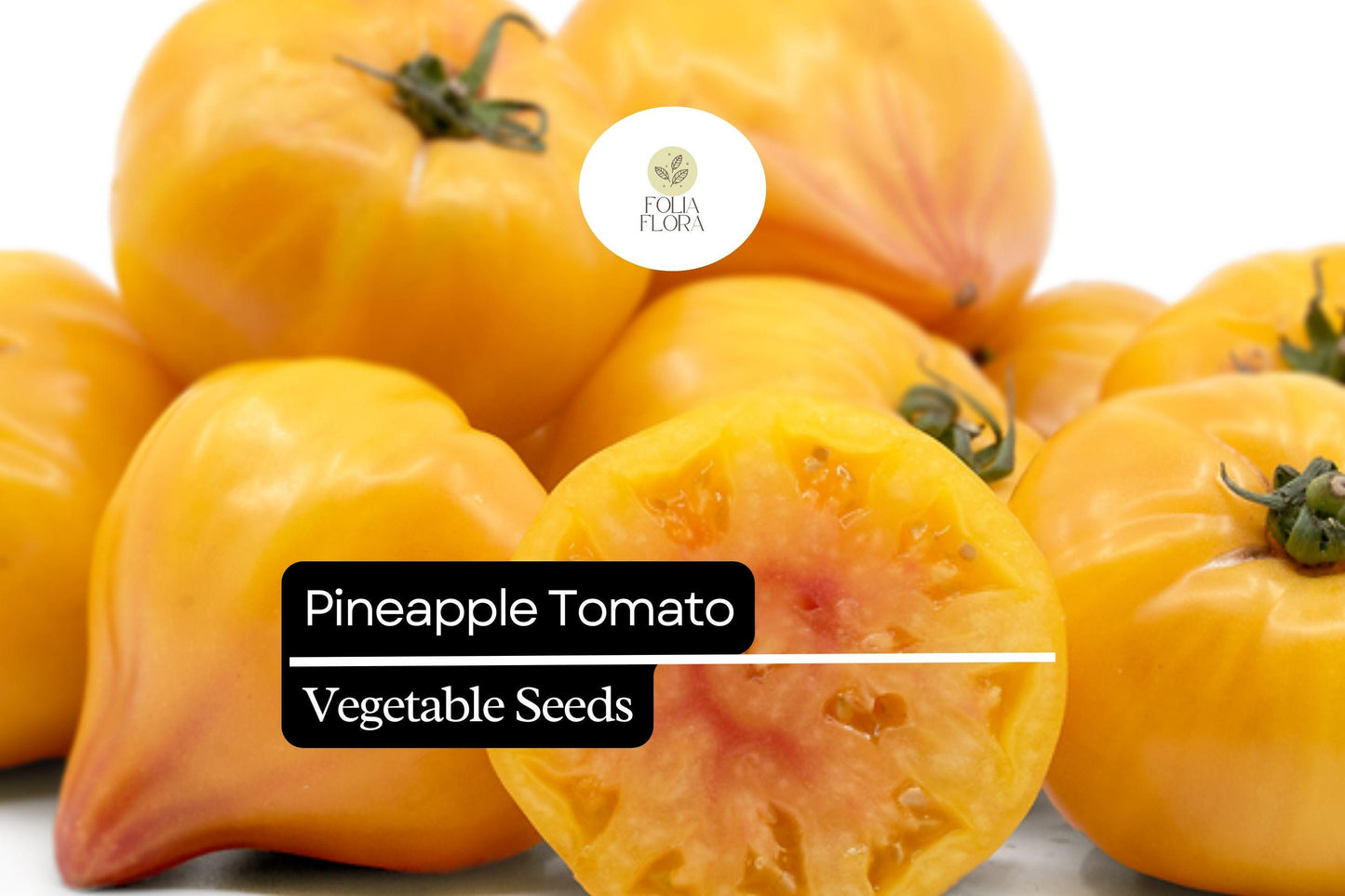 30 Pineapple Tomato Seeds | Solanum lycopersicum | Heirloom Bicolor Beefsteak | Sweet & Juicy