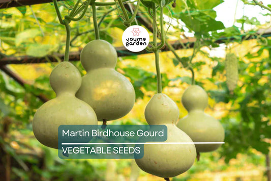 50 Martin Birdhouse Gourd Seeds – Heirloom Non-GMO | Crafting & Birdhouses | Full Sun | Free Shipping